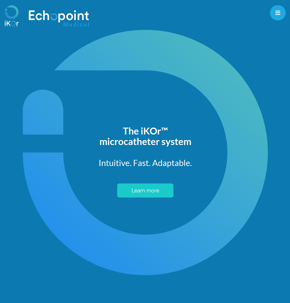 echo Echopoint Medical